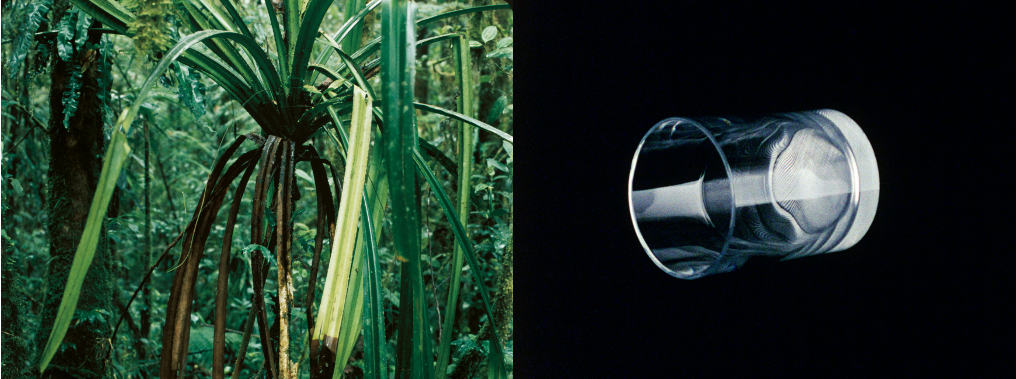 Mathias Poledna Mathias Poledna Video Installations