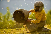 HONEYLAND_filmstill01_mainmotive Photo Courtesy © Ljubomir Stefanov Honeyland