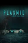 plasmid