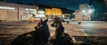 SpaceDogs_Still_01_MainStill