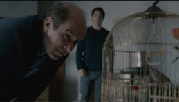 the visit