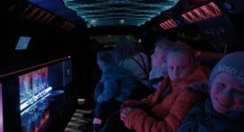 Limo_2 Limo_2
