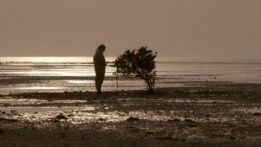 And-Then-They-Burn-the-Sea_4