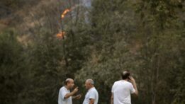 Fire Season Fire Season