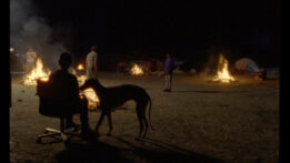 Cannes review: Aunque Es De Noche (2023)