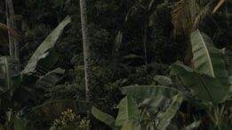 MOGUCNOST-RAJA-1
