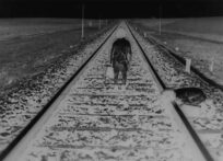 1.5-TRAIN-AGAIN-PETER-TSCHERKASSKY