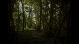 Poluotok_4